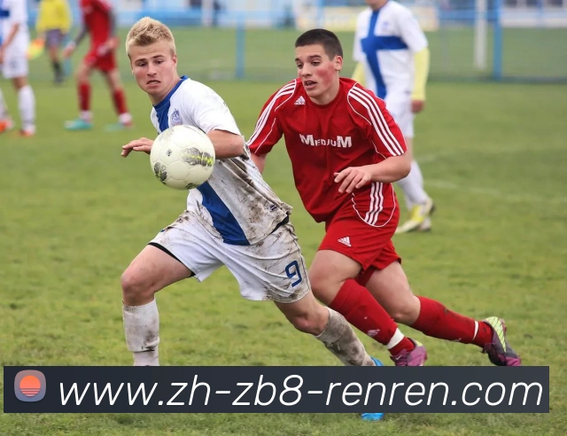 App Interface Preview